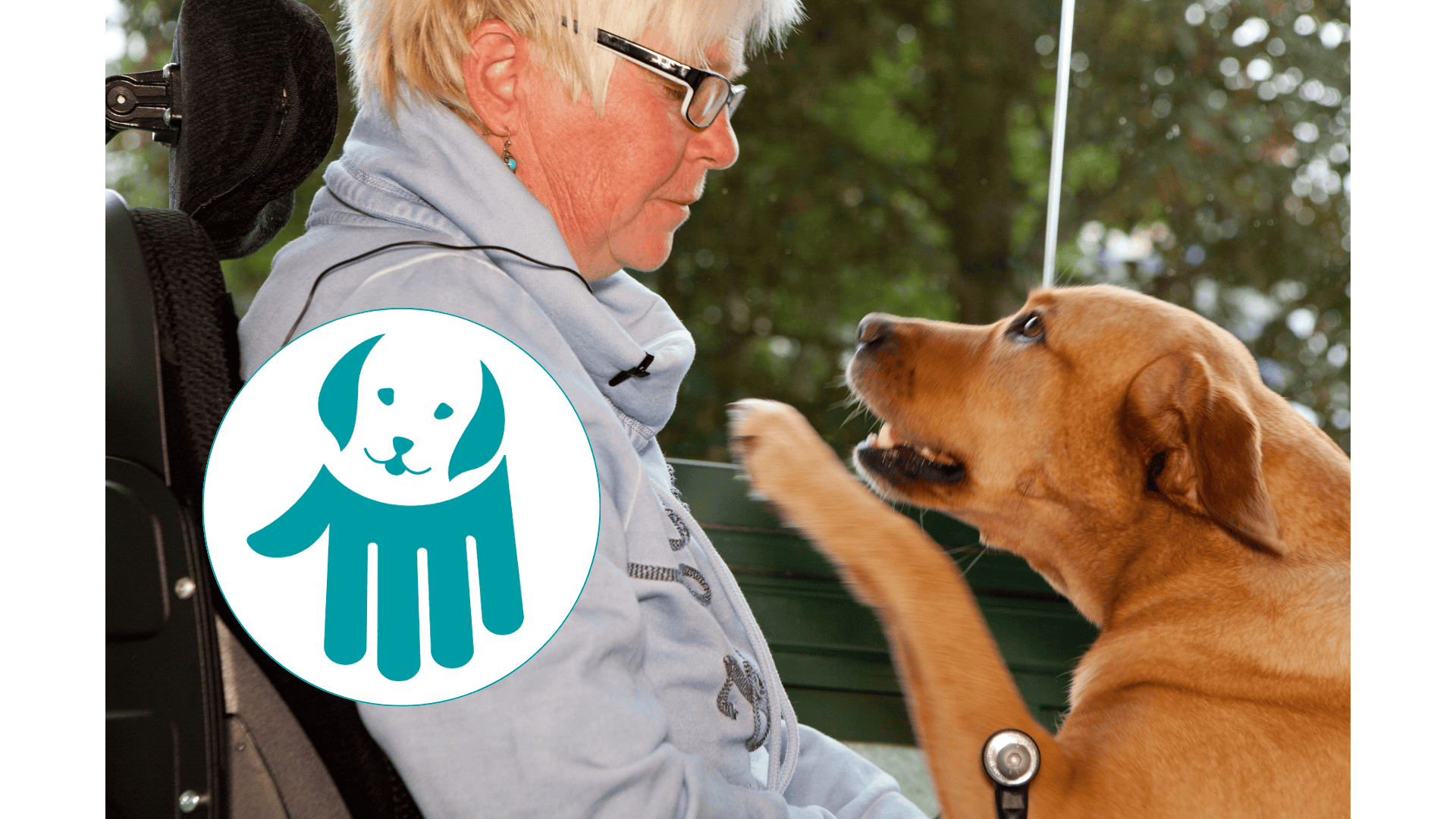 A woman in wheelchair and her assistance dog looking at each other. Bottom left the logo of Pfotenpiloten