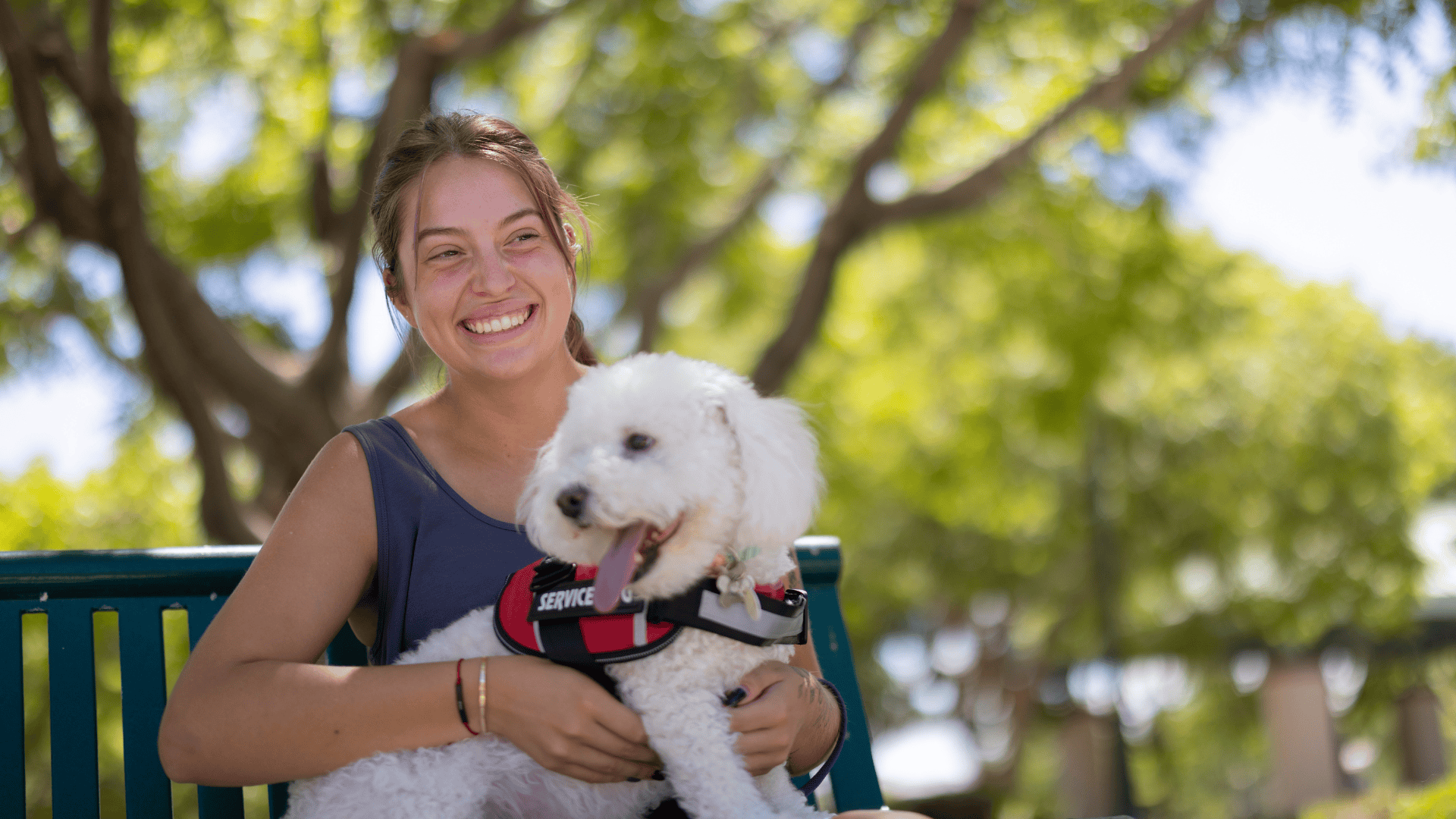 A harmonious assistance dog team. Smiling woman sitting on a bench holding her assistance dog