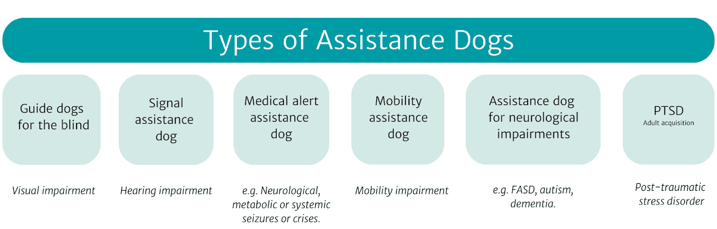 A diagram of different types of assistance dogs